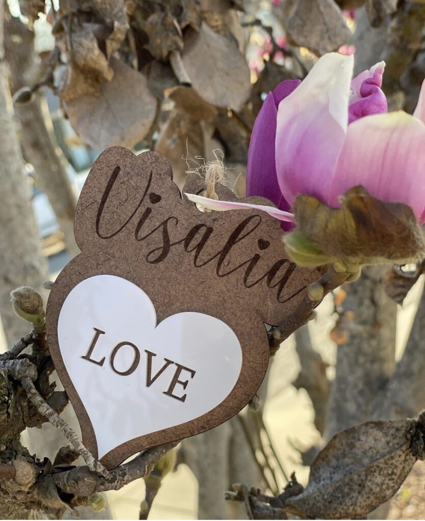 A sign that says " visalia love ".